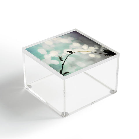 Shannon Clark Whimsical Acrylic Box
