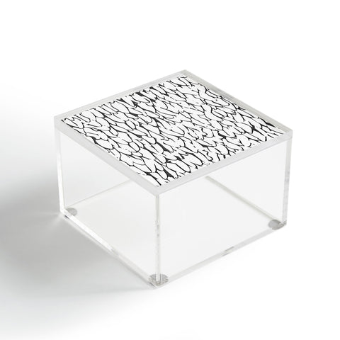 Sharon Turner abstract feathers Acrylic Box