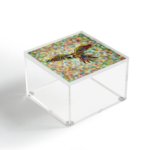 Sharon Turner Harlequin Parrot Acrylic Box