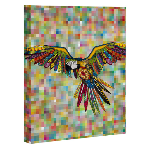 Sharon Turner Harlequin Parrot Art Canvas