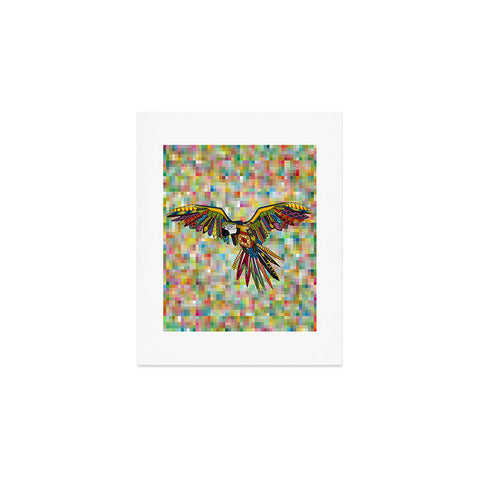 Sharon Turner Harlequin Parrot Art Print