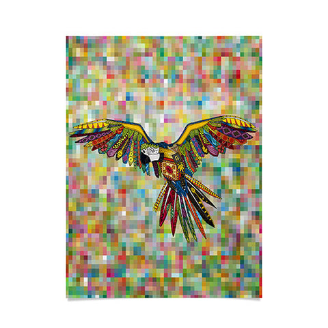 Sharon Turner Harlequin Parrot Poster