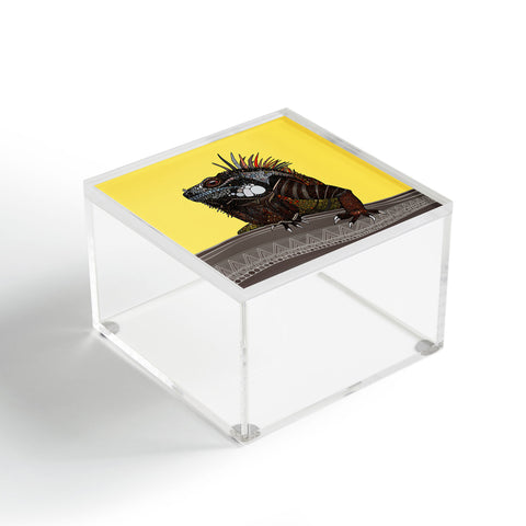 Sharon Turner iguana Acrylic Box