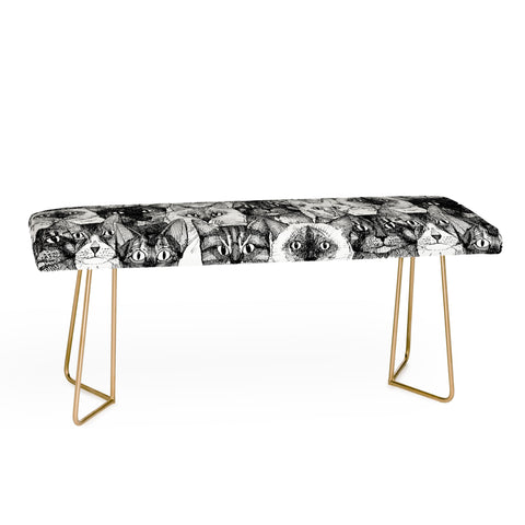 Sharon Turner just cats Bench