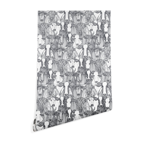 Sharon Turner just cattle Wallpaper