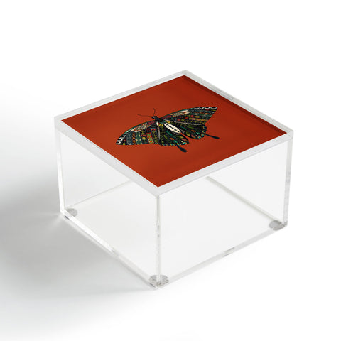 Sharon Turner swallowtail butterfly terracotta Acrylic Box