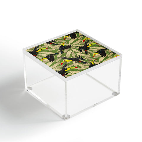 Sharon Turner toucan feather jungle Acrylic Box