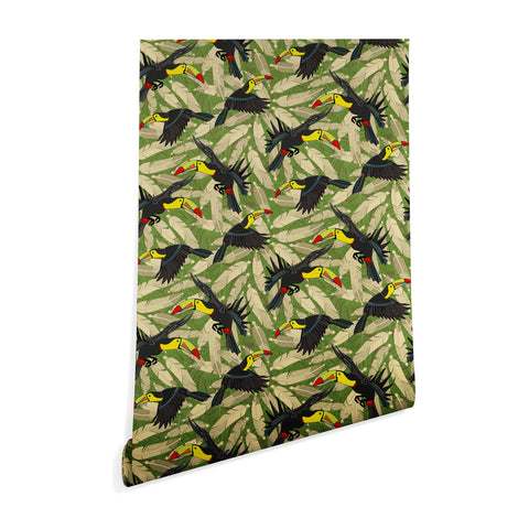Sharon Turner toucan feather jungle Wallpaper