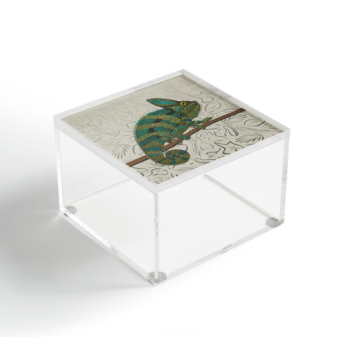 Sharon Turner veiled chameleon stone Acrylic Box