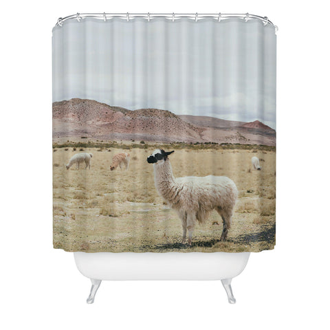 Sisi and Seb Alpacas Shower Curtain