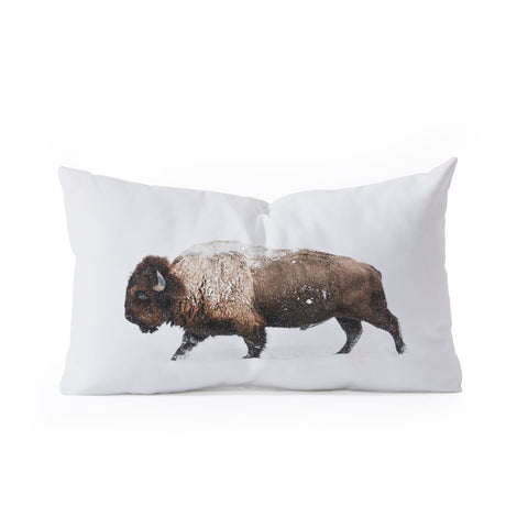 Sisi and Seb Bison II Oblong Throw Pillow