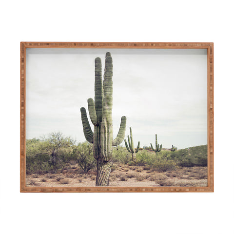 Sisi and Seb Cactus Land Rectangular Tray