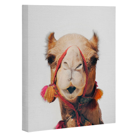 Sisi and Seb Camel Art Canvas