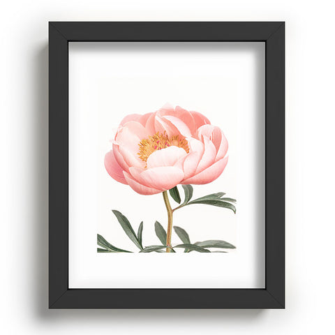 Sisi and Seb Coral Peony Recessed Framing Rectangle