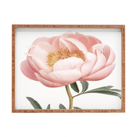 Sisi and Seb Coral Peony Rectangular Tray