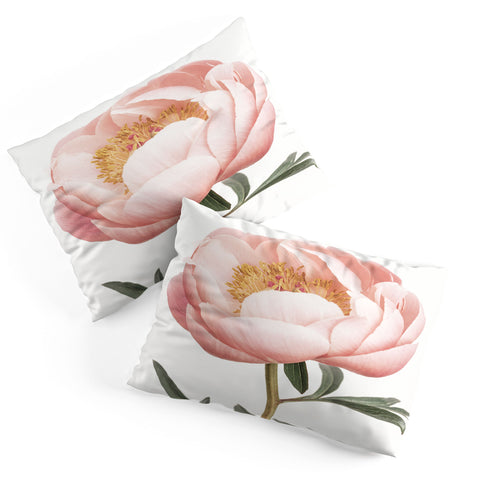 Sisi and Seb Coral Peony Pillow Shams