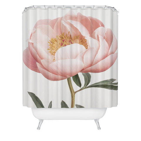 Sisi and Seb Coral Peony Shower Curtain