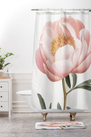 Sisi and Seb Coral Peony Shower Curtain And Mat