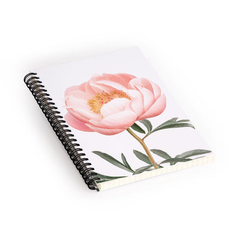 Sisi and Seb Coral Peony Spiral Notebook