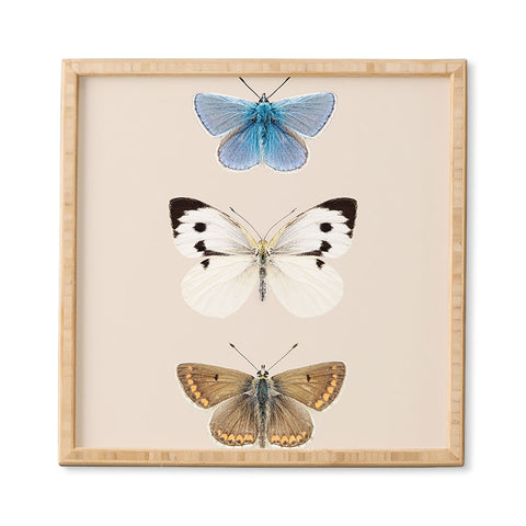 Sisi and Seb English Butterflies Framed Wall Art