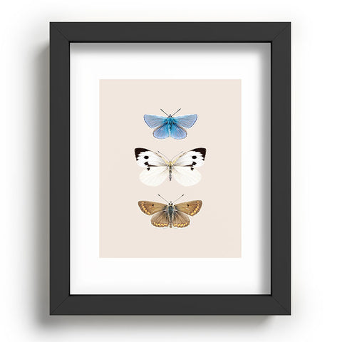 Sisi and Seb English Butterflies Recessed Framing Rectangle