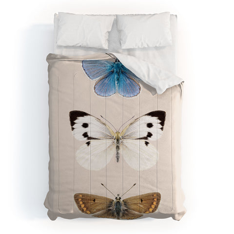 Sisi and Seb English Butterflies Comforter