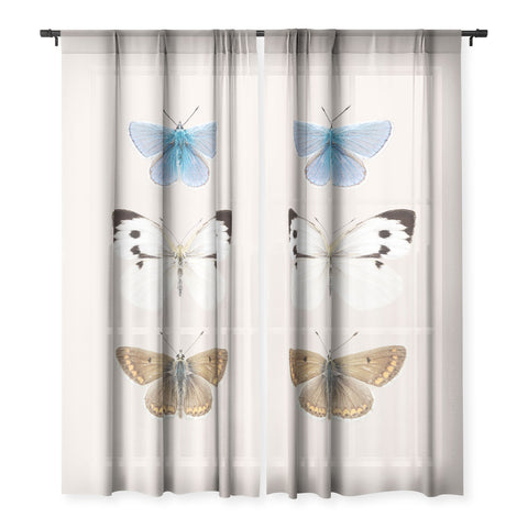 Sisi and Seb English Butterflies Sheer Non Repeat