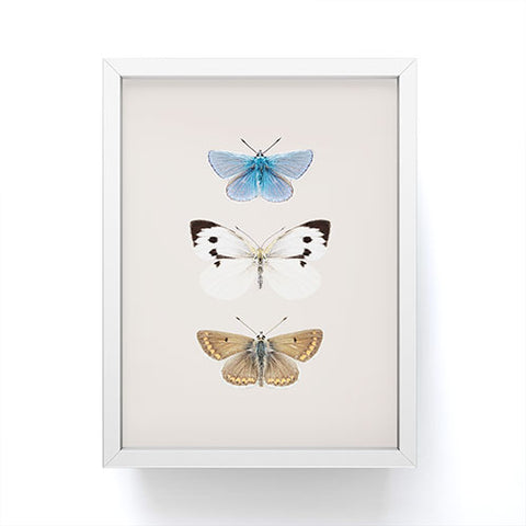 Sisi and Seb English Butterflies Framed Mini Art Print