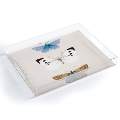 Sisi and Seb English Butterflies Acrylic Tray