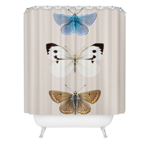 Sisi and Seb English Butterflies Shower Curtain