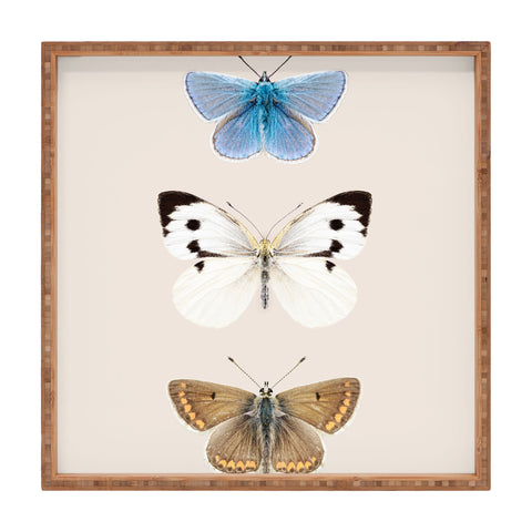 Sisi and Seb English Butterflies Square Tray