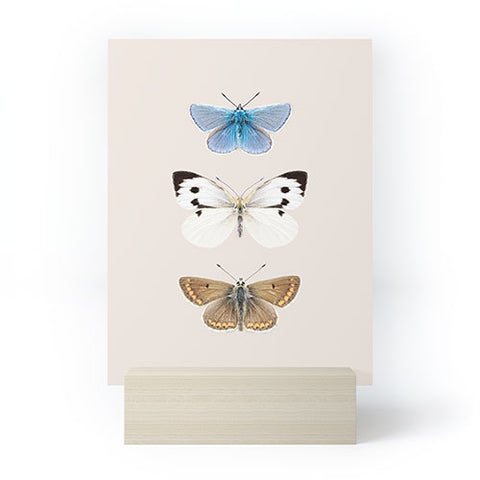 Sisi and Seb English Butterflies Mini Art Print
