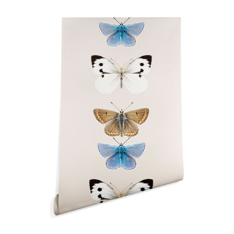Sisi and Seb English Butterflies Wallpaper