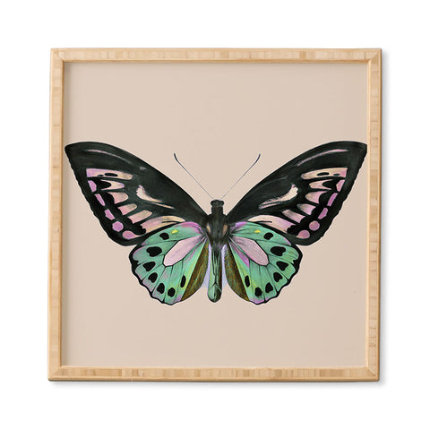 Sisi and Seb Funky Butterfly Framed Wall Art