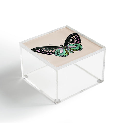 Sisi and Seb Funky Butterfly Acrylic Box