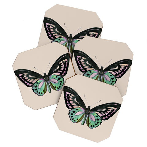 Sisi and Seb Funky Butterfly Coaster Set