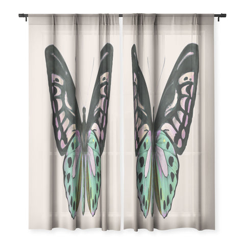 Sisi and Seb Funky Butterfly Sheer Non Repeat