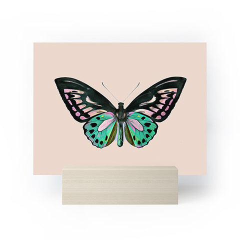 Sisi and Seb Funky Butterfly Mini Art Print