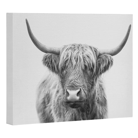 Sisi and Seb Highland Bull Art Canvas