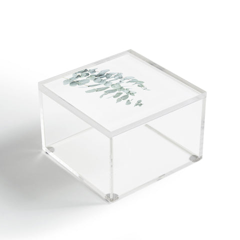 Sisi and Seb Mint Eucalyptus II Acrylic Box