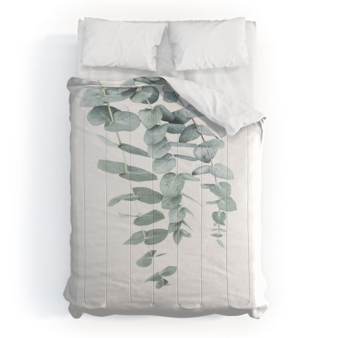 Sisi and Seb Mint Eucalyptus II Comforter