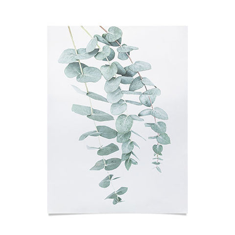 Sisi and Seb Mint Eucalyptus II Poster