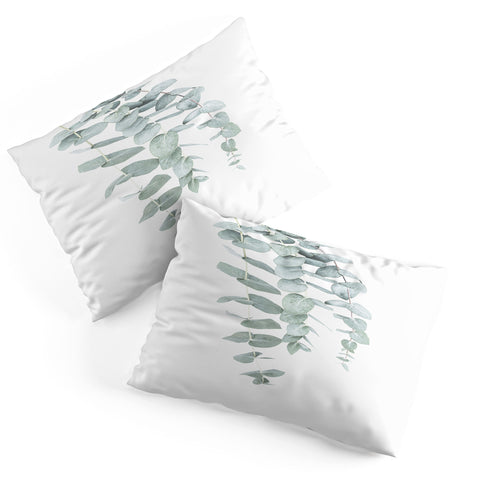 Sisi and Seb Mint Eucalyptus II Pillow Shams