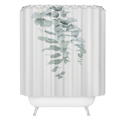 Sisi and Seb Mint Eucalyptus II Shower Curtain