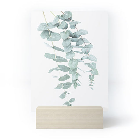 Sisi and Seb Mint Eucalyptus II Mini Art Print