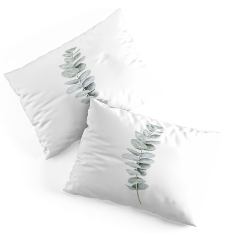 Sisi and Seb Mint Eucalyptus Pillow Shams