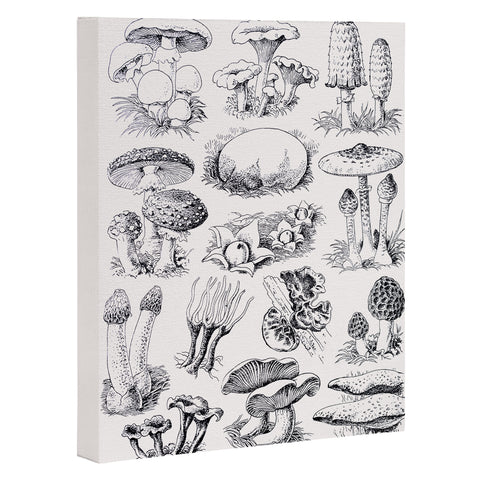 Sisi and Seb Mushroom Collection I Art Canvas