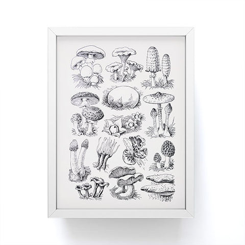 Sisi and Seb Mushroom Collection I Framed Mini Art Print