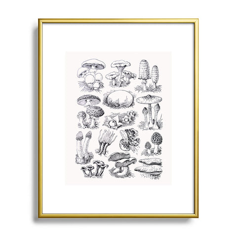 Sisi and Seb Mushroom Collection I Metal Framed Art Print