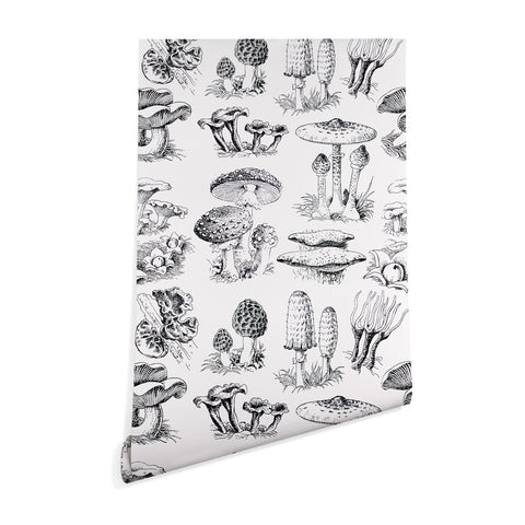 Sisi and Seb Mushroom Collection I Wallpaper